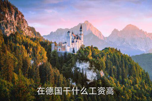 在德國干什么工資高