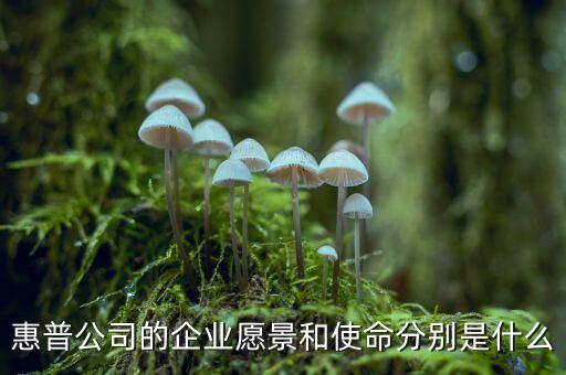 惠普金融遵循了什么理念，惠普公司的企業(yè)愿景和使命分別是什么