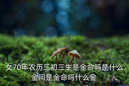 70年什么金，1970年庚戌寺觀之狗 五行屬金 是什么意思