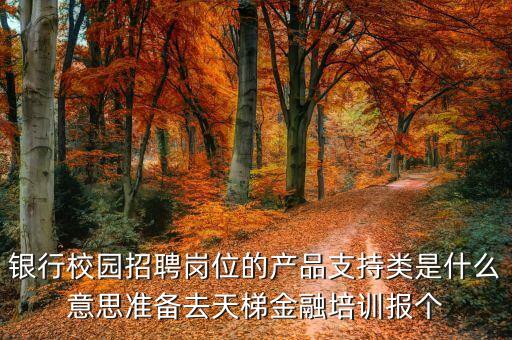 銀行校園招聘崗位的產(chǎn)品支持類是什么意思準備去天梯金融培訓(xùn)報個