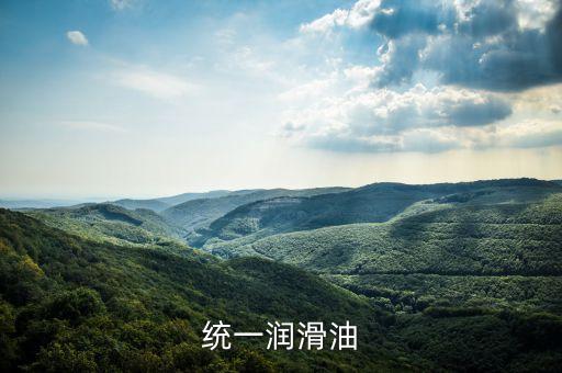 霍氏為什么賣統(tǒng)一潤(rùn)滑油，統(tǒng)一潤(rùn)滑油