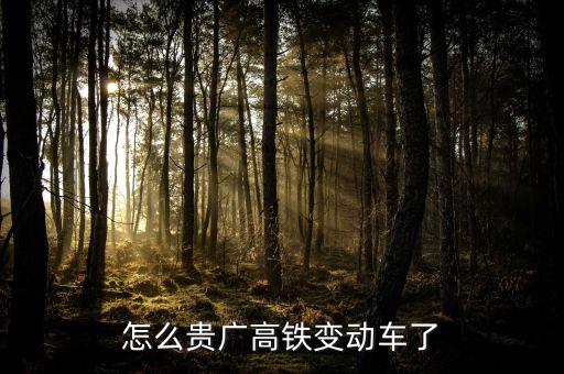 高鐵什么時候變動車，怎么貴廣高鐵變動車了