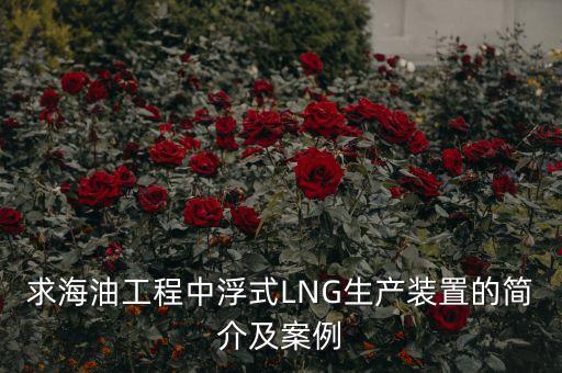 什么是浮式lng項目，什么是浮式LNG