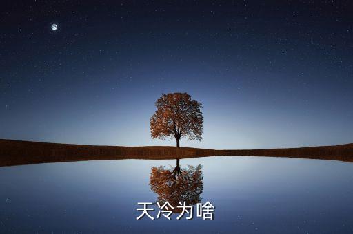 暴雪冷空氣利好什么股票小說(shuō)，下雪了天咋這么冷