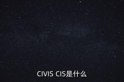 臺灣的第二上市公司是什么，上海廣達集團不是上市公司么