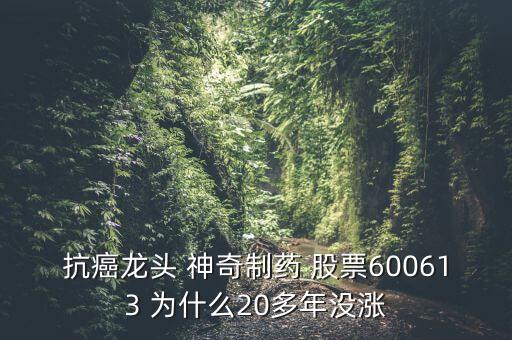神奇制藥為什么23年不漲，貴州神奇藥業(yè)上市沒(méi)有