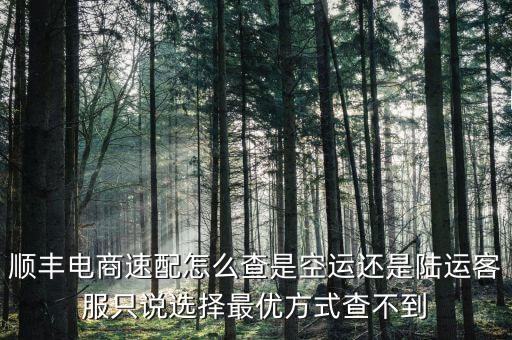 順豐電商速配怎么查是空運(yùn)還是陸運(yùn)客服只說選擇最優(yōu)方式查不到