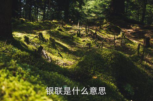 銀聯(lián)會(huì)是什么，銀聯(lián)是什么意思