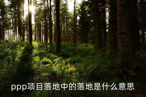 項(xiàng)目落地是什么意思，重大項(xiàng)目落地什么意思