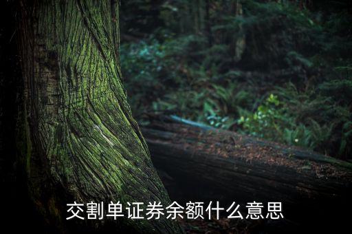 交割單中的剩余金額是什么，中原證券交割單里的本次金額什么意思