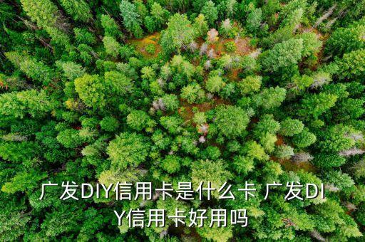 什么是diy信用卡，廣發(fā)DIY信用卡是什么卡 廣發(fā)DIY信用卡好用嗎