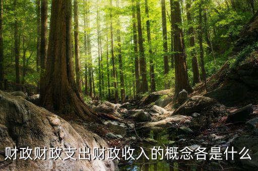 什么是財(cái)政支出，財(cái)政支農(nóng)支出的含義是什么