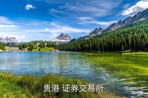 貴港有什么證券公司，貴港 證券交易所