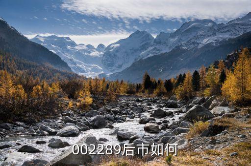 聶新勇持股什么，除了馮毅天龍集團(tuán)的其他股東是誰