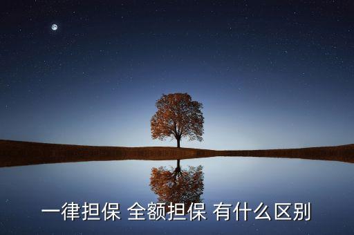 全額擔保指什么，一律擔保 全額擔保 有什么區(qū)別