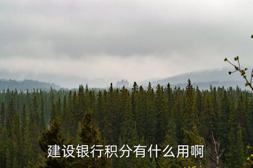 建行信用卡積分有什么用，建設(shè)銀行積分有什么用啊