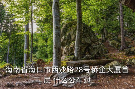 海南公務(wù)車什么號段，誰知道海南41 11月20日開的什么號碼