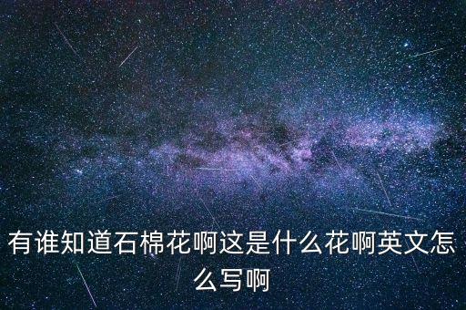 有誰(shuí)知道石棉花啊這是什么花啊英文怎么寫啊