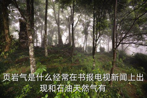 頁巖氣和天然氣有什么不同，頁巖氣與煤層氣的區(qū)別