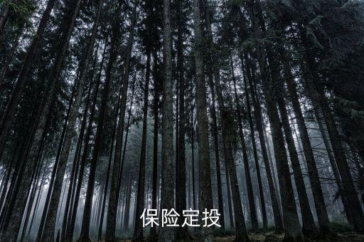 什么是定投保險，定期定投是什么怎么做有風(fēng)險嗎