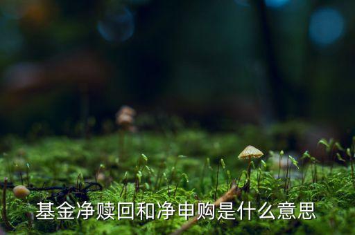 凈申購是什么意思，基金凈贖回和凈申購是什么意思
