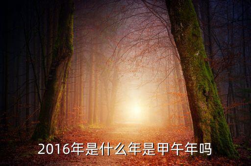 2016年是什么的開局之年，2016年是什么年是甲午年嗎