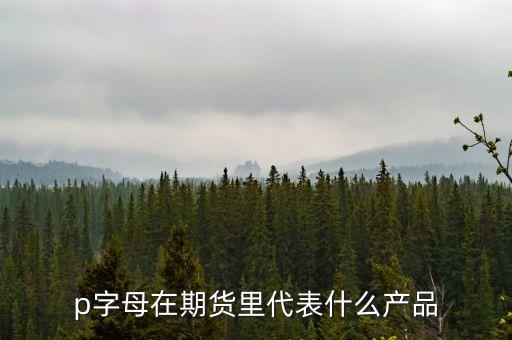 pp是什么期貨，聚丙烯期貨是什么