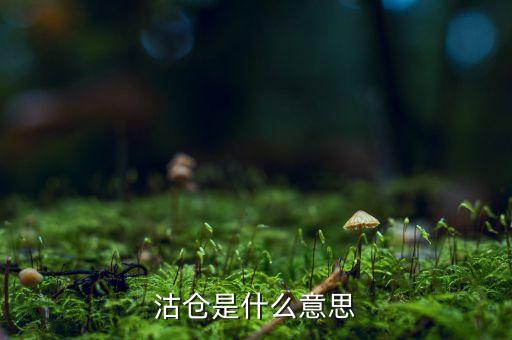 股票沽倉(cāng)是什么意思，沽倉(cāng)是什么意思