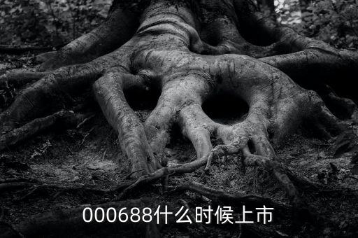 辰安科技什么時(shí)候上市，000688什么時(shí)候上市