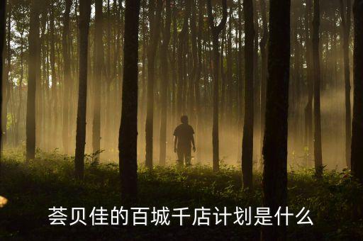 百城千店是干什么的，百城千店介貸是什么