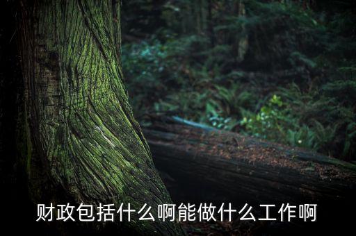 財(cái)政包括什么，簡答 財(cái)政是什么