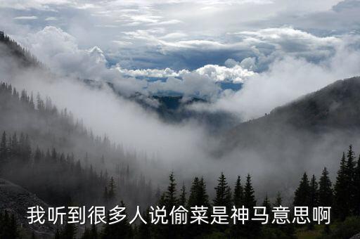 偷白菜什么意思，仙桃方言偷白菜趕兔子是什么意思