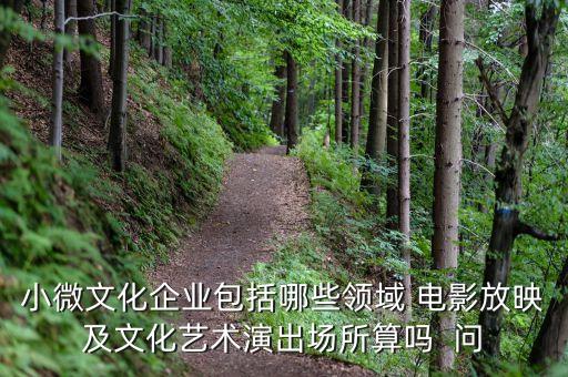 小微文化企業(yè)具體指什么，小微文化企業(yè)包括哪些領(lǐng)域 電影放映及文化藝術(shù)演出場所算嗎  問