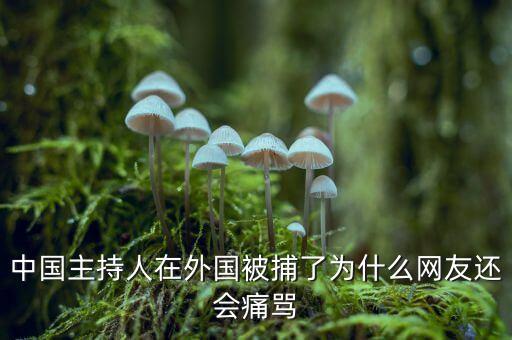 國網(wǎng)魏慶海出什么事了，中國主持人在外國被捕了為什么網(wǎng)友還會痛罵