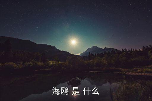 海鷗和石墨是什么關(guān)系，MAURICE BLUM品牌和海鷗有什么關(guān)系