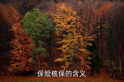保險核保是什么意思，保險核保的含義