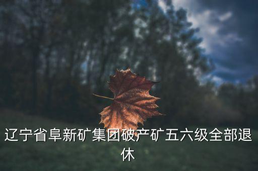 阜礦集團什么時候破產(chǎn)，遼寧省阜新礦集團破產(chǎn)礦五六級全部退休