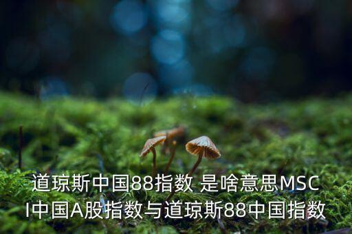 88開頭的股票是什么股，88打頭的股票代碼是那個(gè)交易所