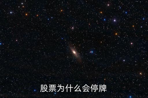 002163為什么停牌，股票為什么會(huì)停牌