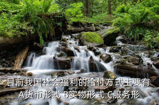 我國是什么福利型模式，目前我國社會福利的給付方式主要有 A貨幣形式 B實(shí)物形式 C服務(wù)形