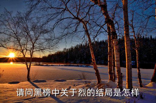 請(qǐng)問黑榜中關(guān)于烈的結(jié)局是怎樣