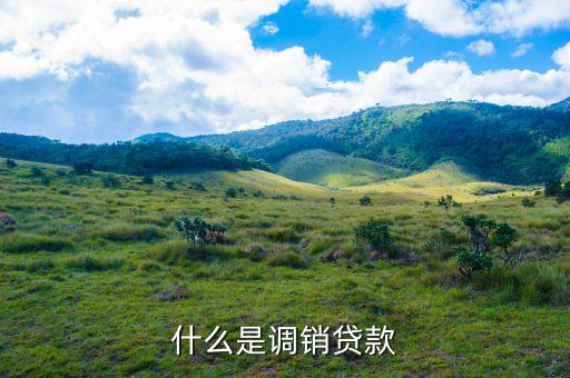 什么是銷售貸款，什么是調(diào)銷貸款