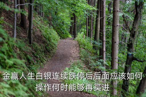 金贏人生白銀連續(xù)跌停后后面應(yīng)該如何操作何時能夠再買進