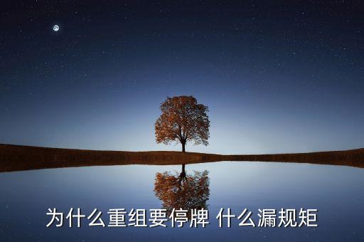 為什么湘潭電化重組暫停，湘潭電化股票停牌是什么意思
