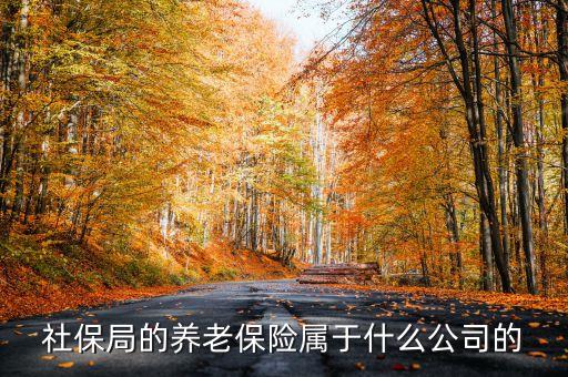 社保局的養(yǎng)老保險屬于什么公司的