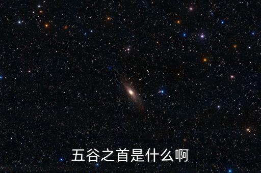 中糧是中國什么之首，中糧集團(tuán)