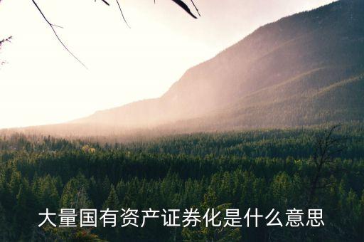 什么是國資證券化率，資產(chǎn)證券化率的公式