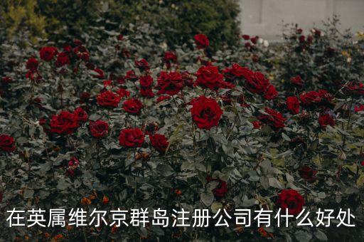 在英屬維爾京群島設立子公司有什么好處，設立子公司的好處有哪些