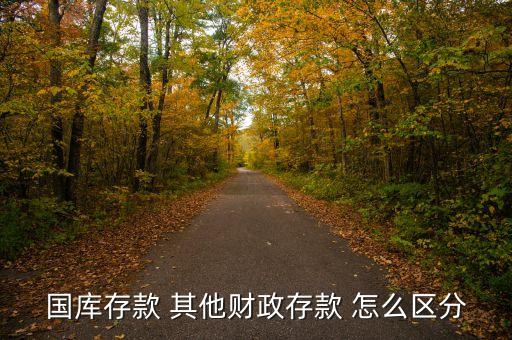 什么是財(cái)政存款，什么是財(cái)政性繳存款