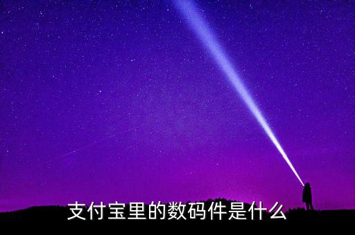 支付寶機(jī)具是什么，支付寶里的數(shù)碼件是什么